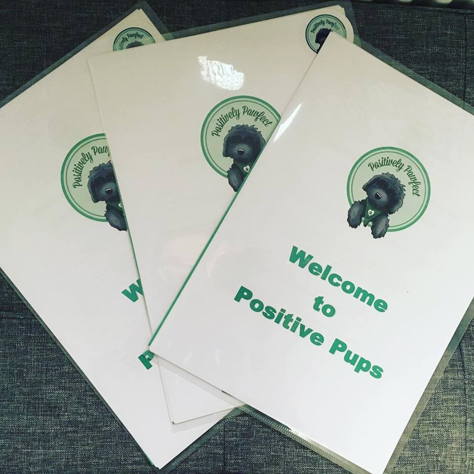 Positively Pawfect course brochures
