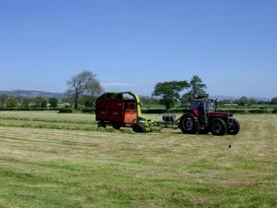 Gathering the Hay