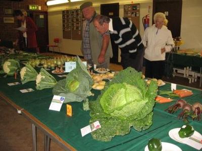 Flower, Produce and Handicraft Show 2010